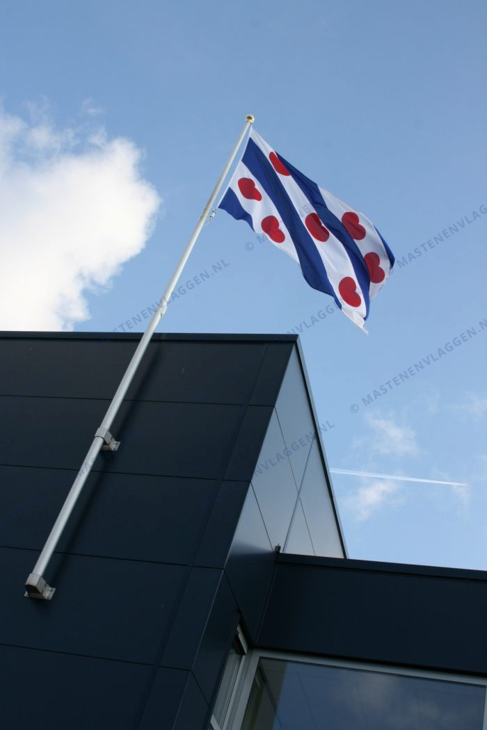 Friese vlag