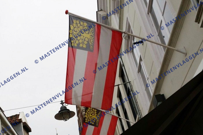 gevelvlag