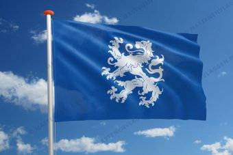 Vlag Heemskerk