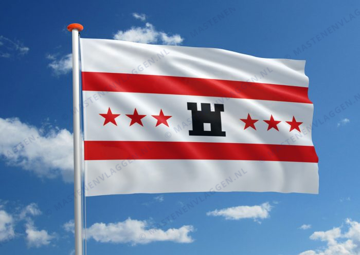 Drentse vlag