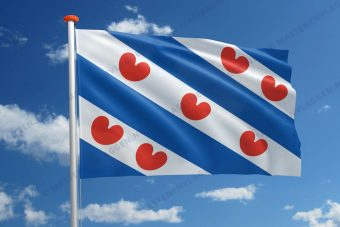 Friese vlag