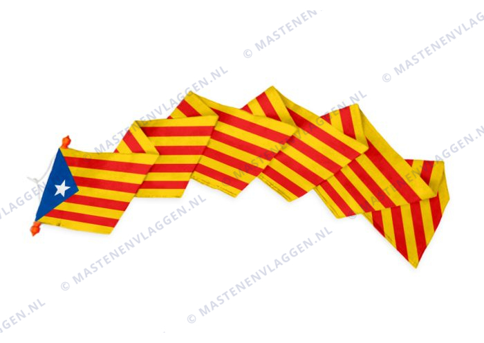 Catalaanse Wimpel