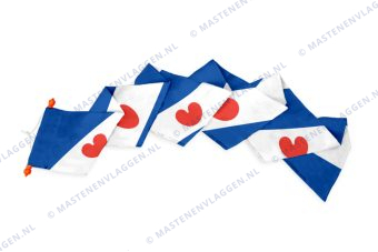Provincie Friesland Wimpel