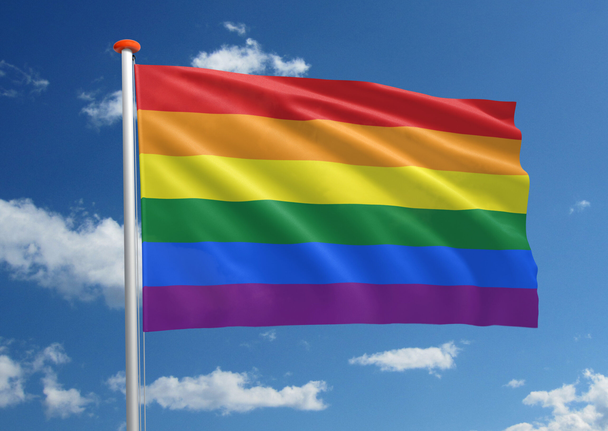Regenboogvlag-scaled.jpg