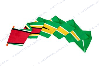 Wimpel Guyana