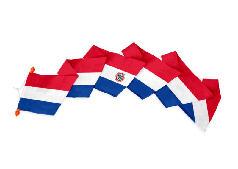 Wimpel Paraguay