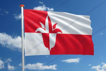 Vlag Bernheze