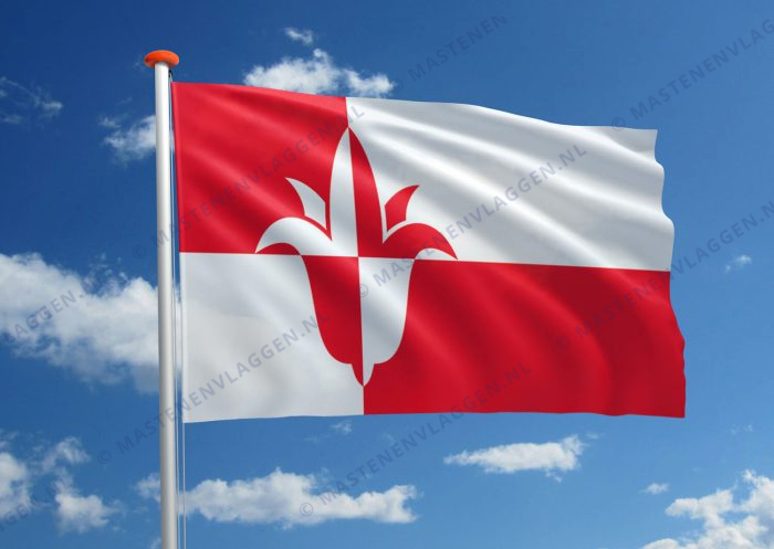Vlag Bernheze