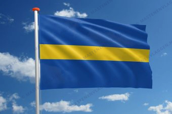 Vlag Borne