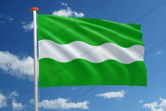 Vlag Bunnik