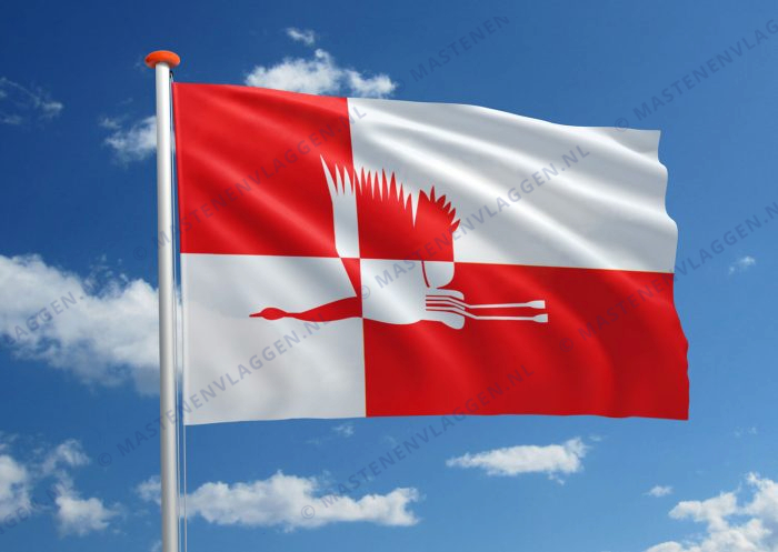 Vlag Cranendonck