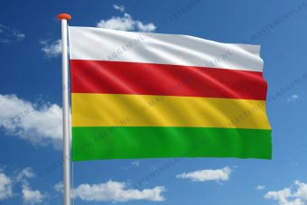 Vlag Dantumadeel
