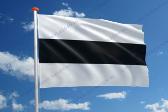 Vlag Delft