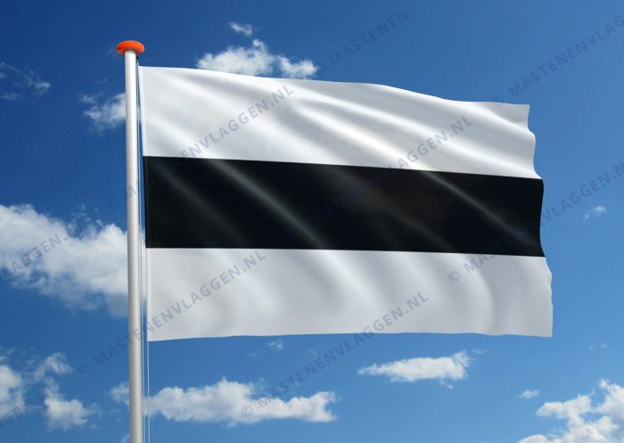 Vlag Delft