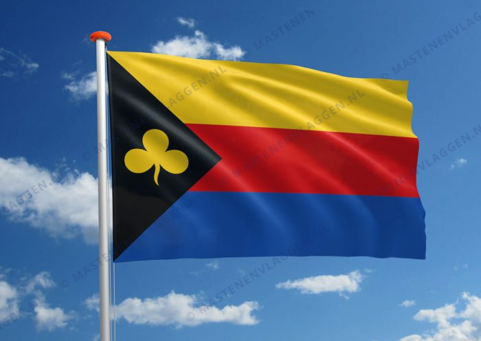 Vlag Delfzijl