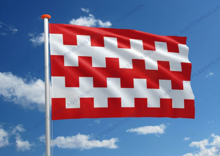 Vlag Dongen