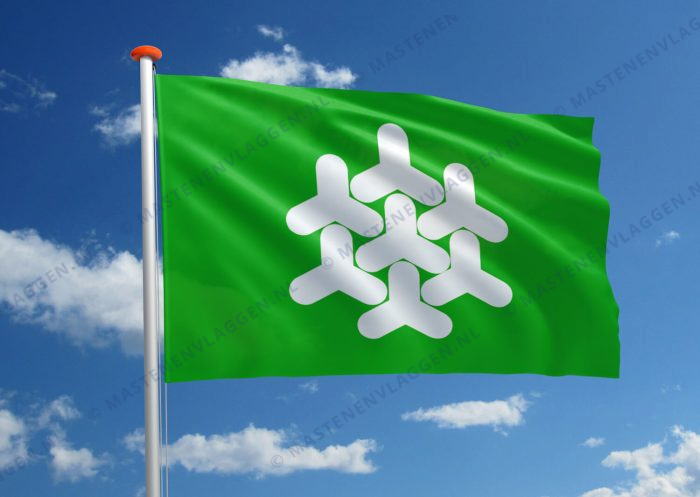 Vlag Dronten