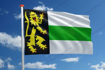 Vlag Druten