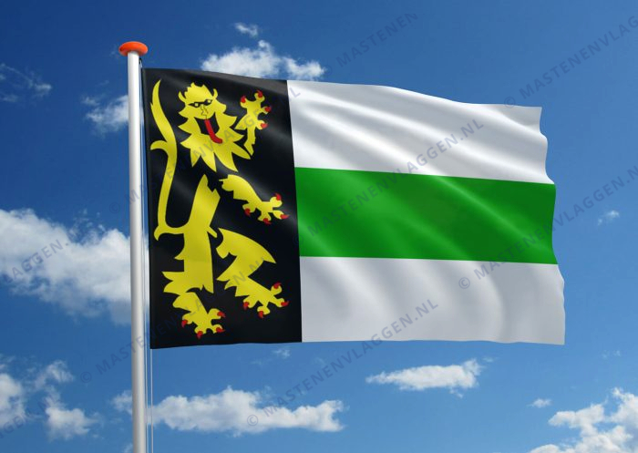Vlag Druten