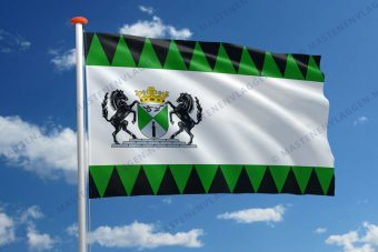 Vlag Emmen