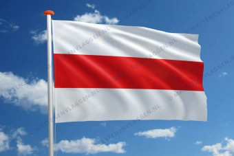 Vlag Enschede