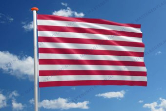 Vlag Goes