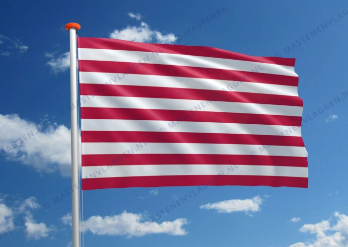 Vlag Goes
