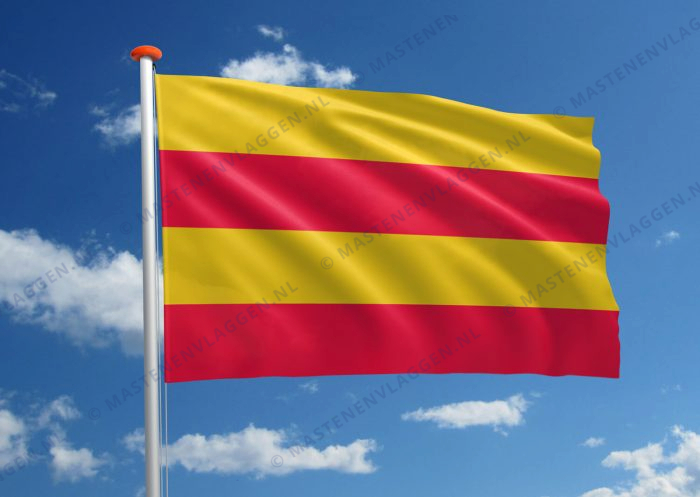 Vlag Heemstede