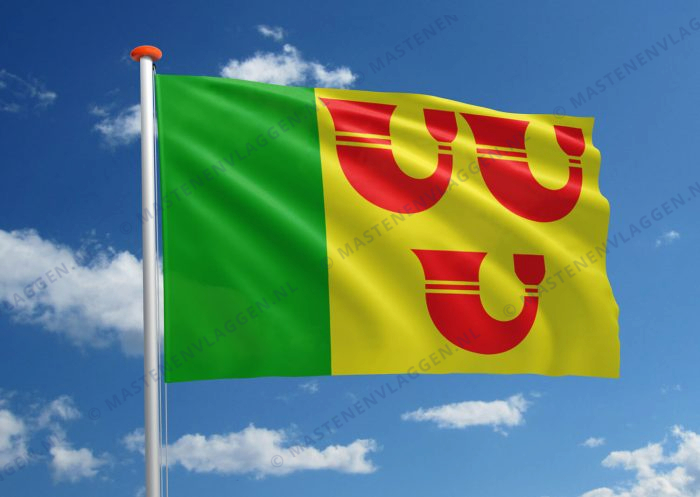 Vlag Heeze-Leende