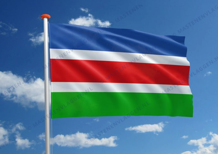 Vlag Laarbeek