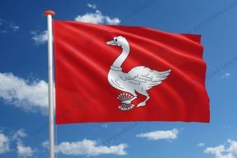 Vlag Landsmeer