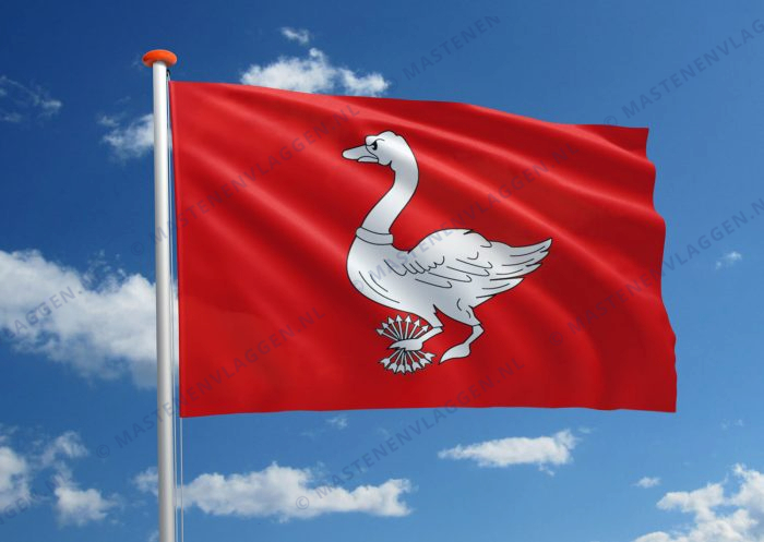Vlag Landsmeer