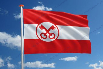 Vlag Leiden