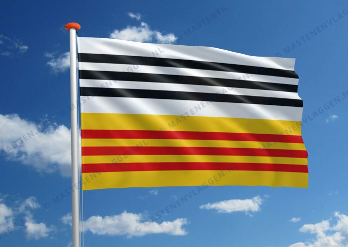 Vlag Loon op Zand