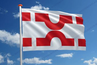 Vlag Losser