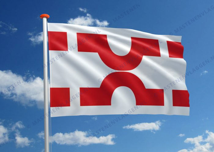 Vlag Losser