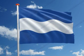 Vlag Maassluis