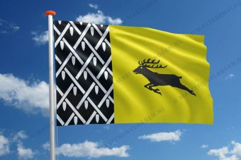 Vlag Nunspeet