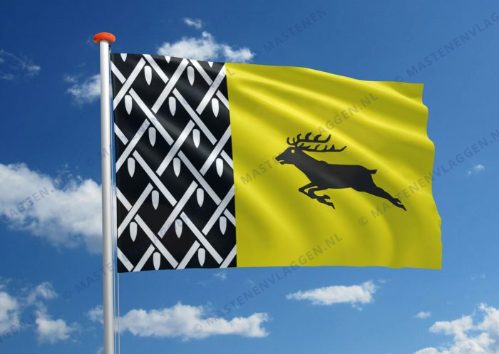 Vlag Nunspeet