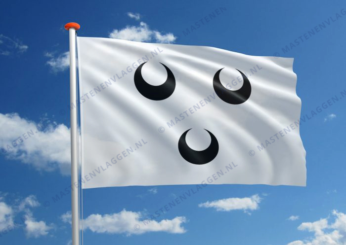 Vlag Oosterhout