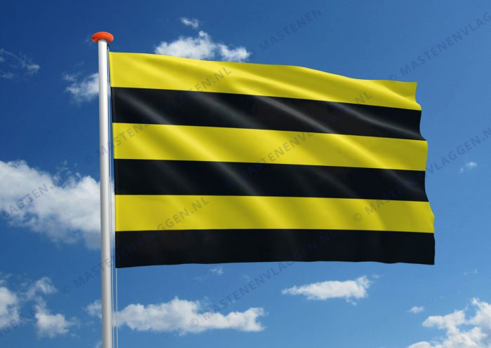 Vlag Schiedam
