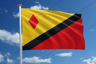 Vlag Stein