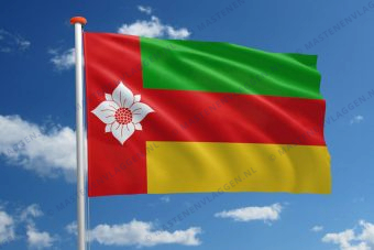 Vlag Tynaarlo