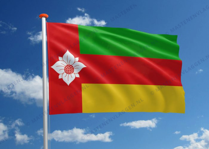 Vlag Tynaarlo