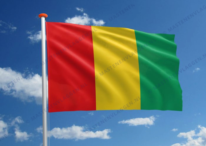Vlag Guinee
