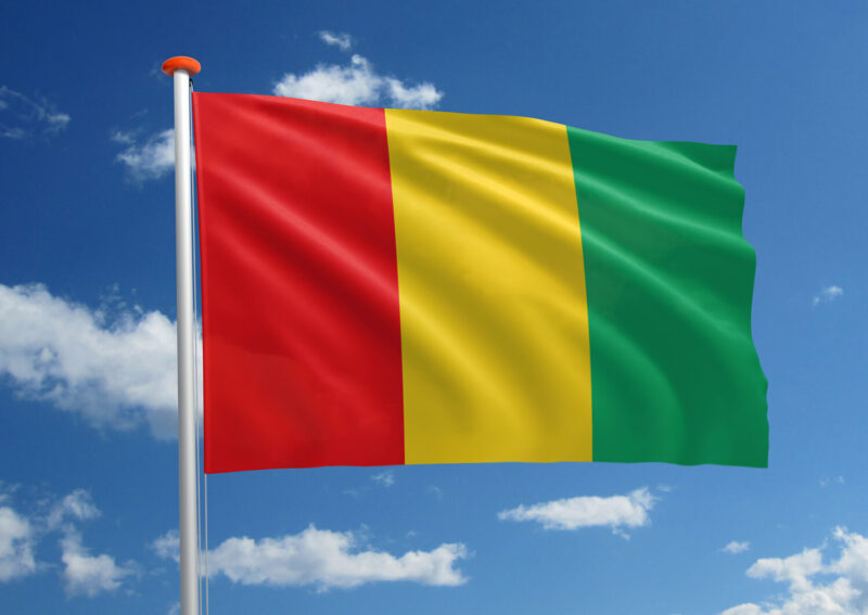 Vlag Guinee