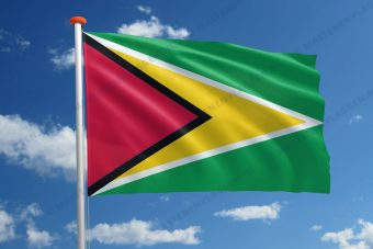 Vlag Guyana