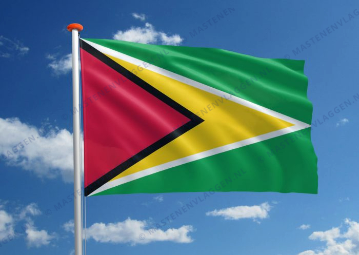 Vlag Guyana