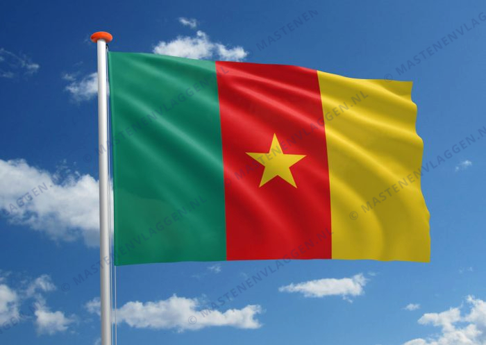 Vlag Kameroen