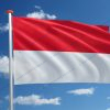 Vlag van Monaca